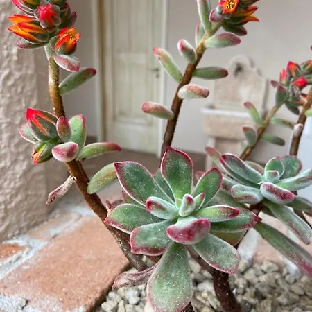 Bed & Breakfast Informis *