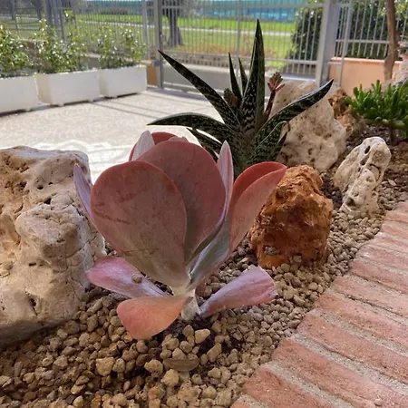 Informis Bed & Breakfast