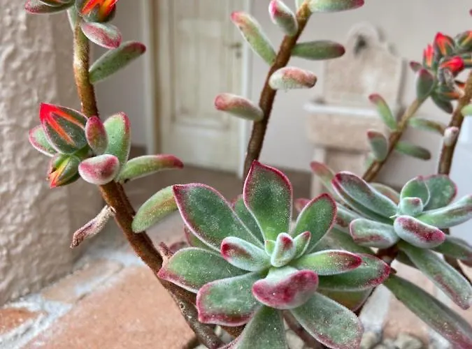 Bed & Breakfast Informis *