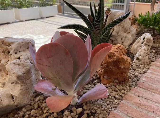 Informis Bed & Breakfast